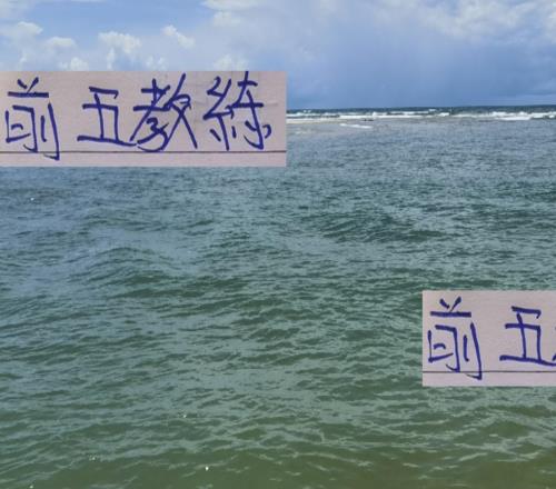 还剩4轮!明年前5的教练就只有申花斯卢茨基是官宣续约