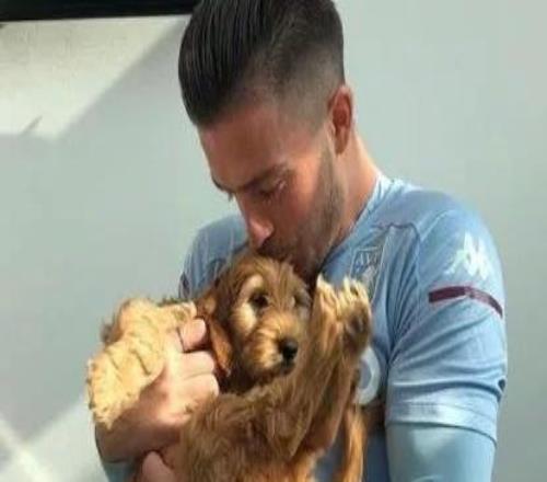 太陽報：格拉利什開價值26萬鎊的馬丁兜風，還把狗放駕駛位上