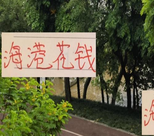 海港花錢至少聽見響申花也聽見一點今年就差北京國安了！