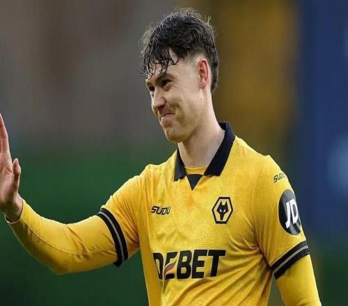 狼队主帅：如果拉森的转会对俱乐部有利，麻豆精产国品一二三产区区别会看看情况