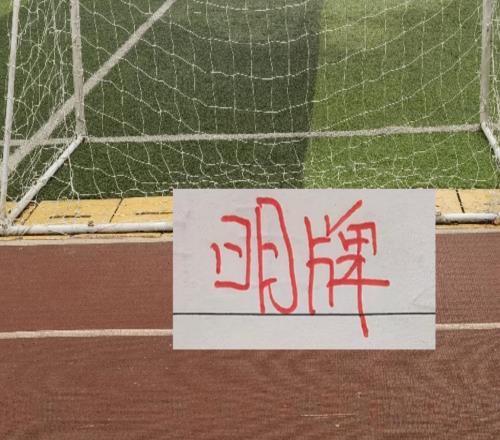 這是底氣！申花主帥賽前直接明牌臨時換裁判能擋住追趕步伐嗎