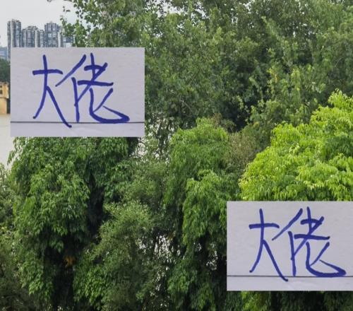 中超積分前5名射手大佬！申花米內(nèi)羅提前報(bào)銷也是球隊(duì)最威懾人