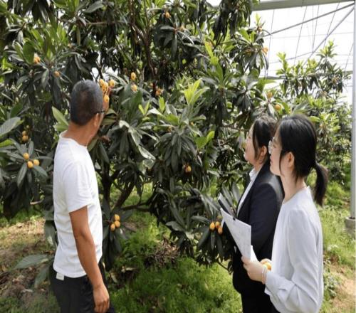 宁波银行,打出一记漂亮的ACE球