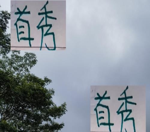 好鋼用在刀刃上！北京國安經理兒子首秀4分鍾進球武磊誇海港雙星