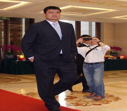 东方巨人破壁垒:姚明NBA生涯书写的纪录与传奇