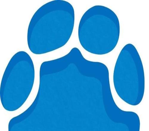 日本國腳竟拿“戰犯”照片合影，英超球隊道歉：向對中國造成的任何冒犯誠摯道歉