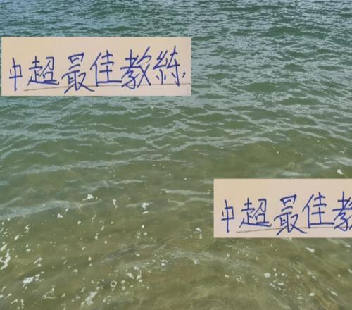 谁才是中超最佳教练!冠军来说话今年我还是看好海港穆帅