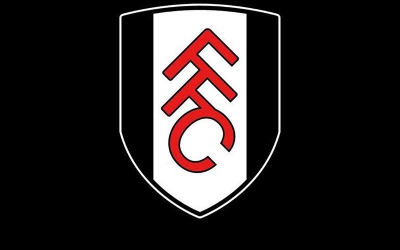 英国警方:一男子因在网上种族歧视富勒姆前锋穆尼斯被判刑