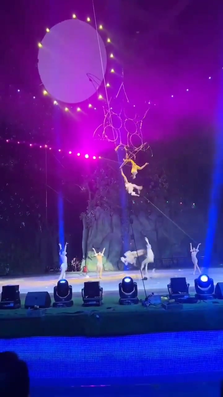 都这样了,还想着表演赶紧救人要紧吧