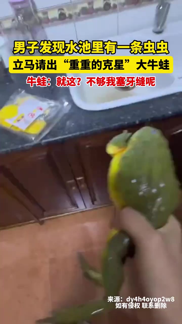 男子发现水池里有虫子,马上跑去把蛙拿来