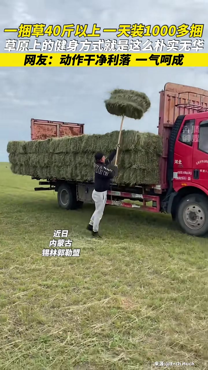 一网友记录下自己日常在草原上朴实无华的“健身方式”