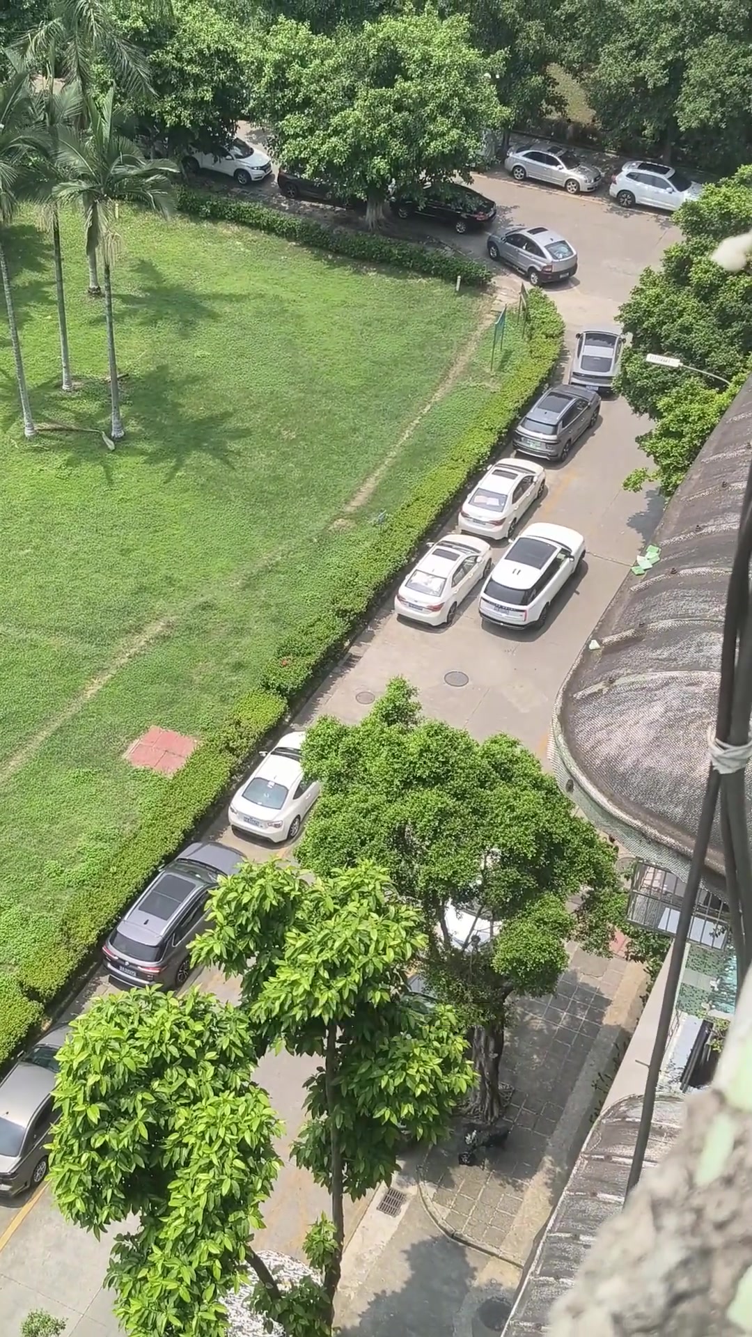 黑车:小白,时代变了