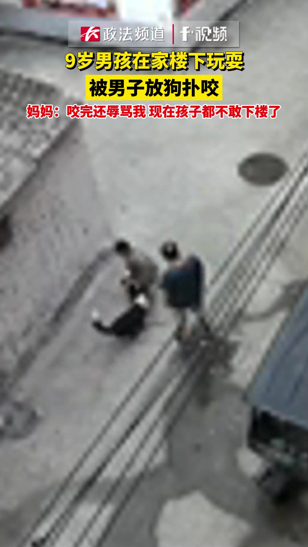 过分!9岁男孩在家楼下玩耍,被男子放狗扑咬!
