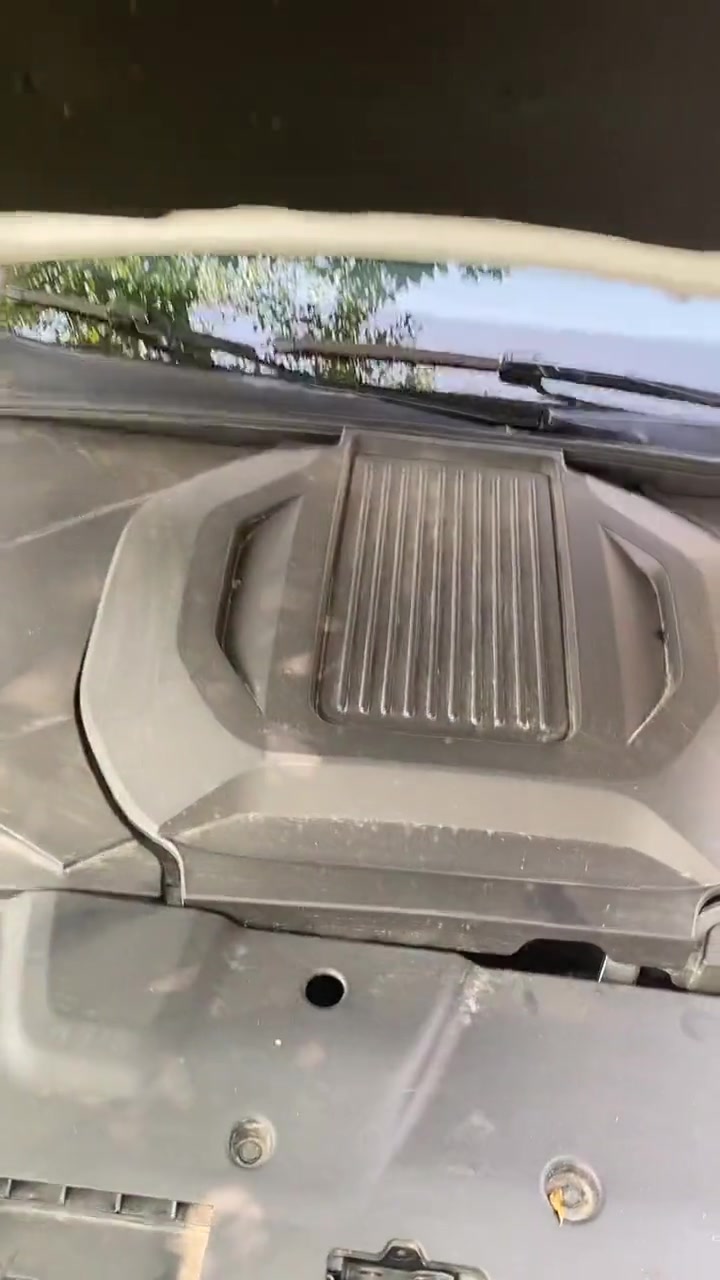 谁家好人买辆车给猫当猫窝的啊