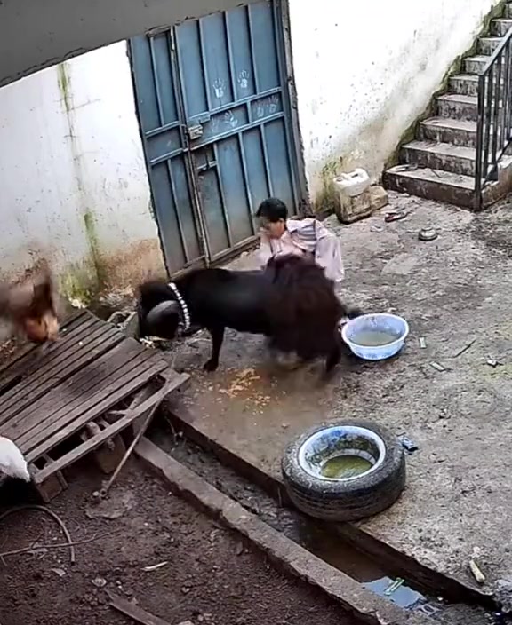 下脚真重啊!幸亏栓了绳子