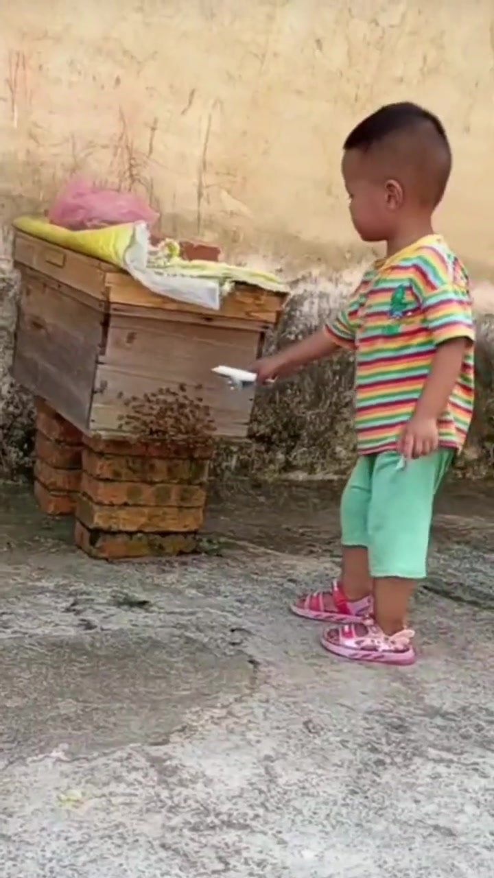 真的不知者无畏啊!凭实力挣红包!