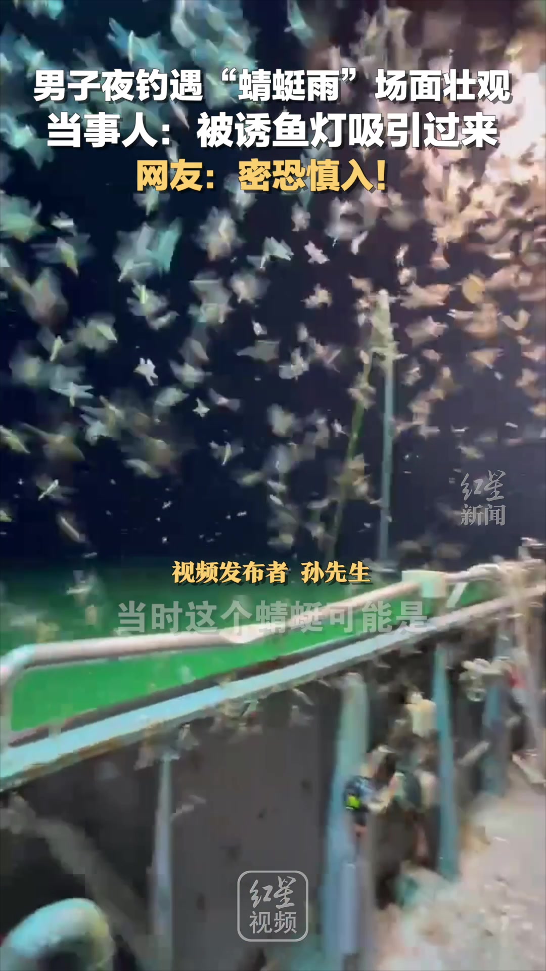 男子夜钓吸引了大量蜻蜓围绕