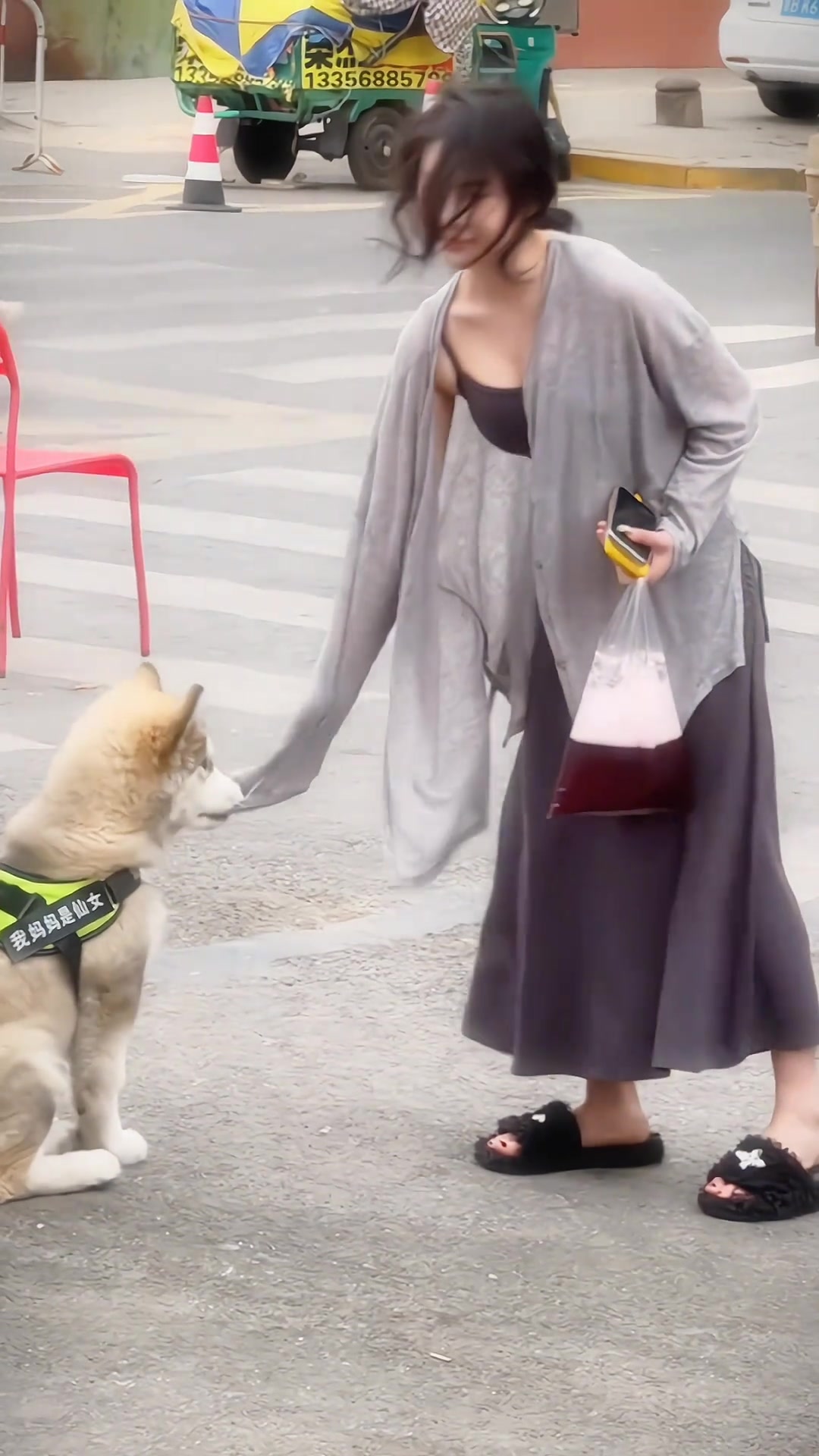 都说了狗头不能乱摸,这下完了吧...