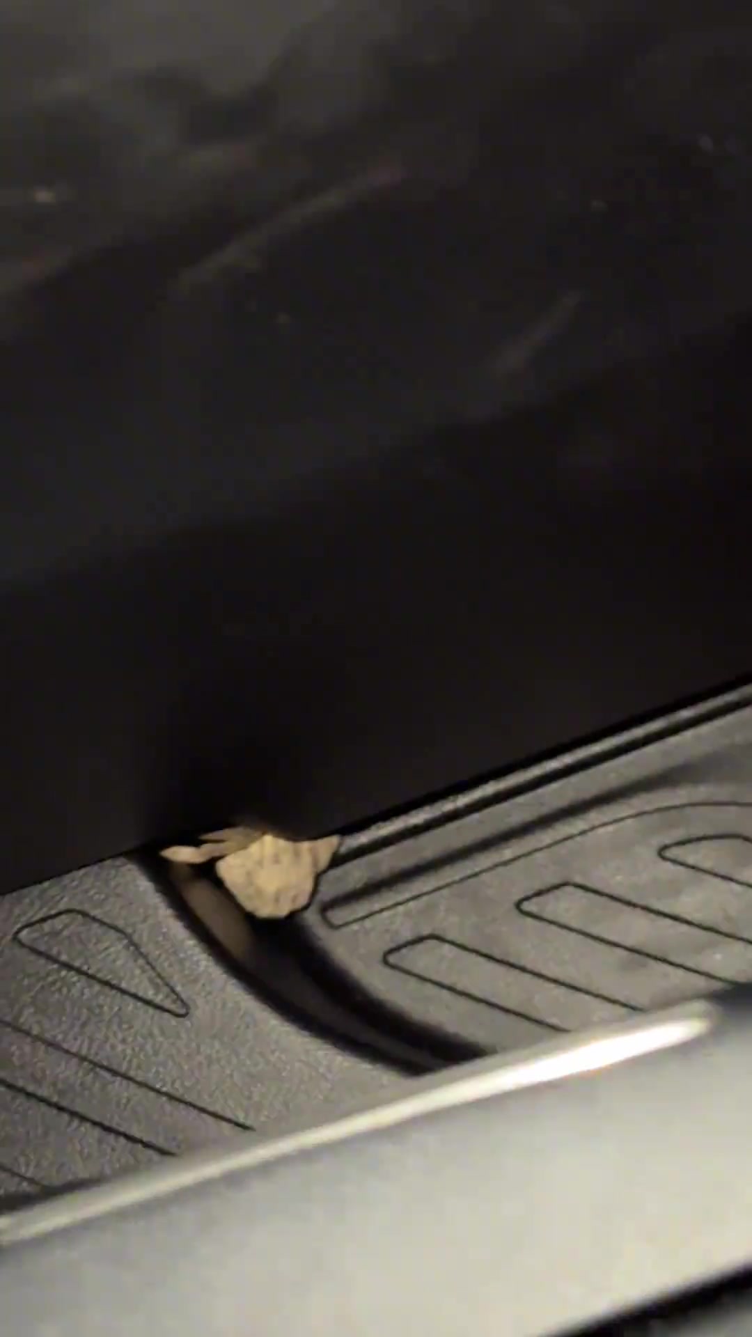 腿在视频中的意义是什么