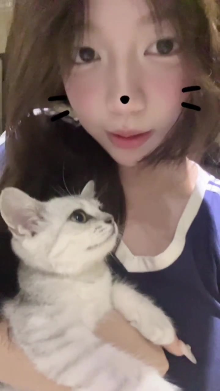 说实话有点嫉妒这只猫了