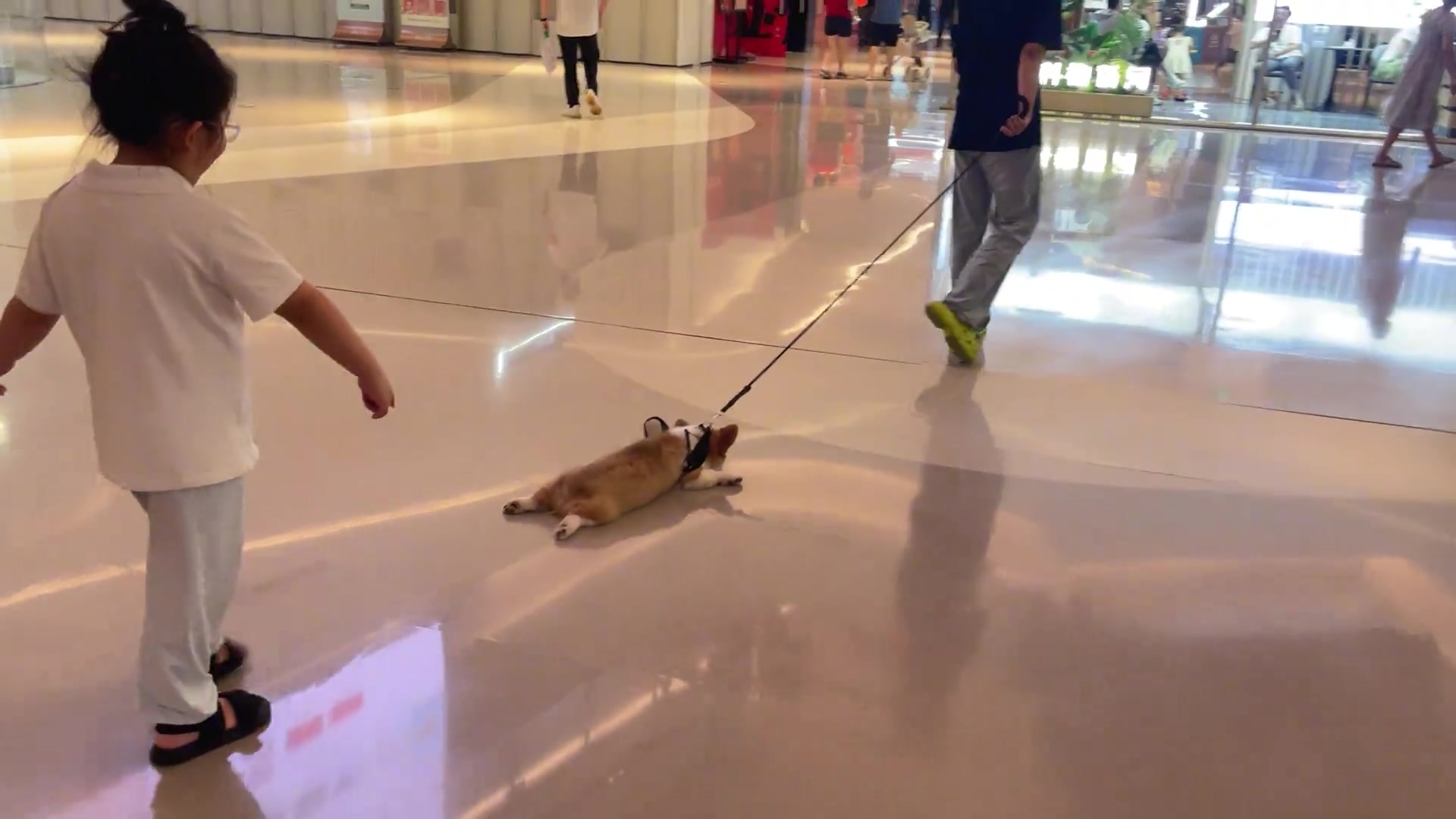 这是带着自家狗来拖地的