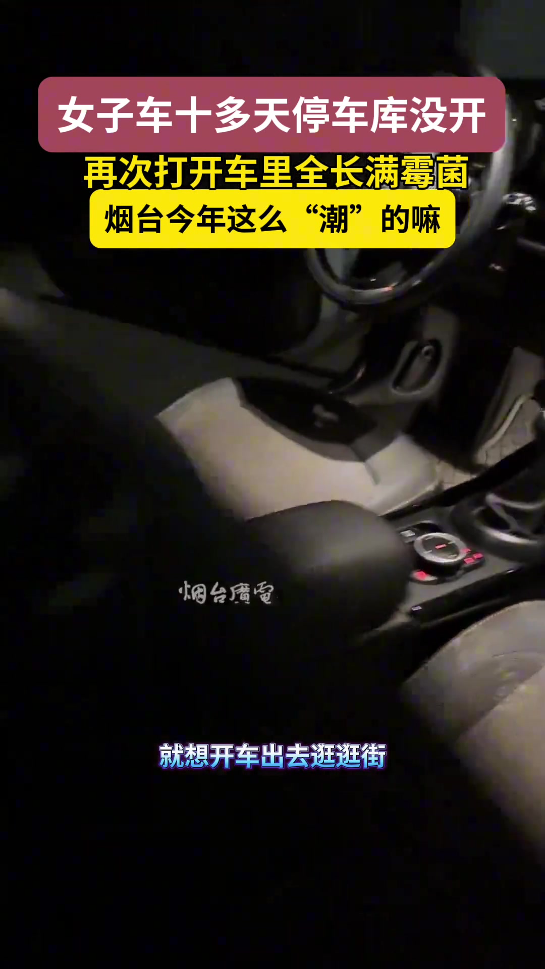 女子车十多天停车库没开,再次打开车里面长满霉菌!