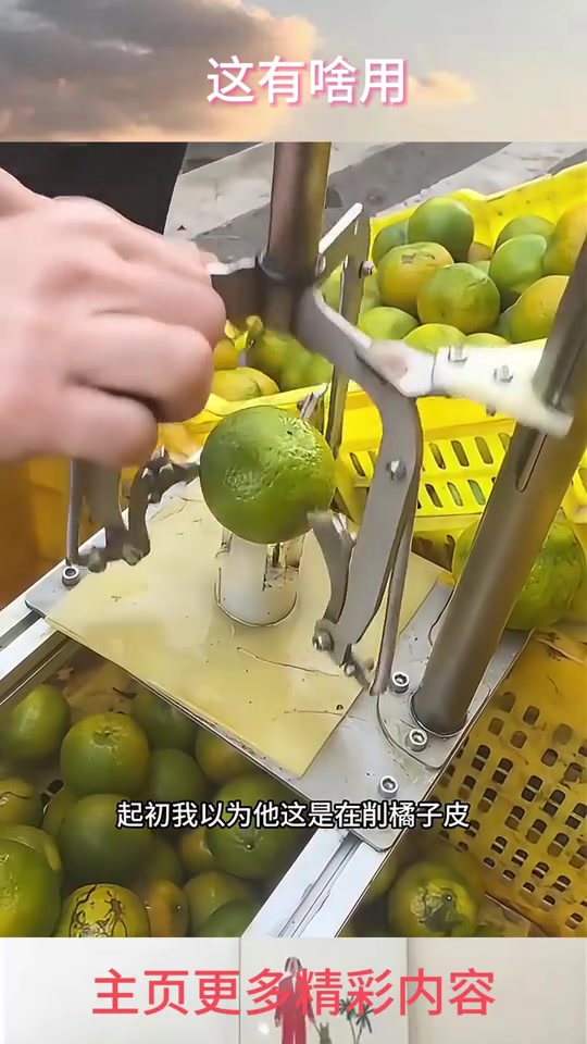 这是干嘛给橘子按摩吗大家知道这是做啥吗