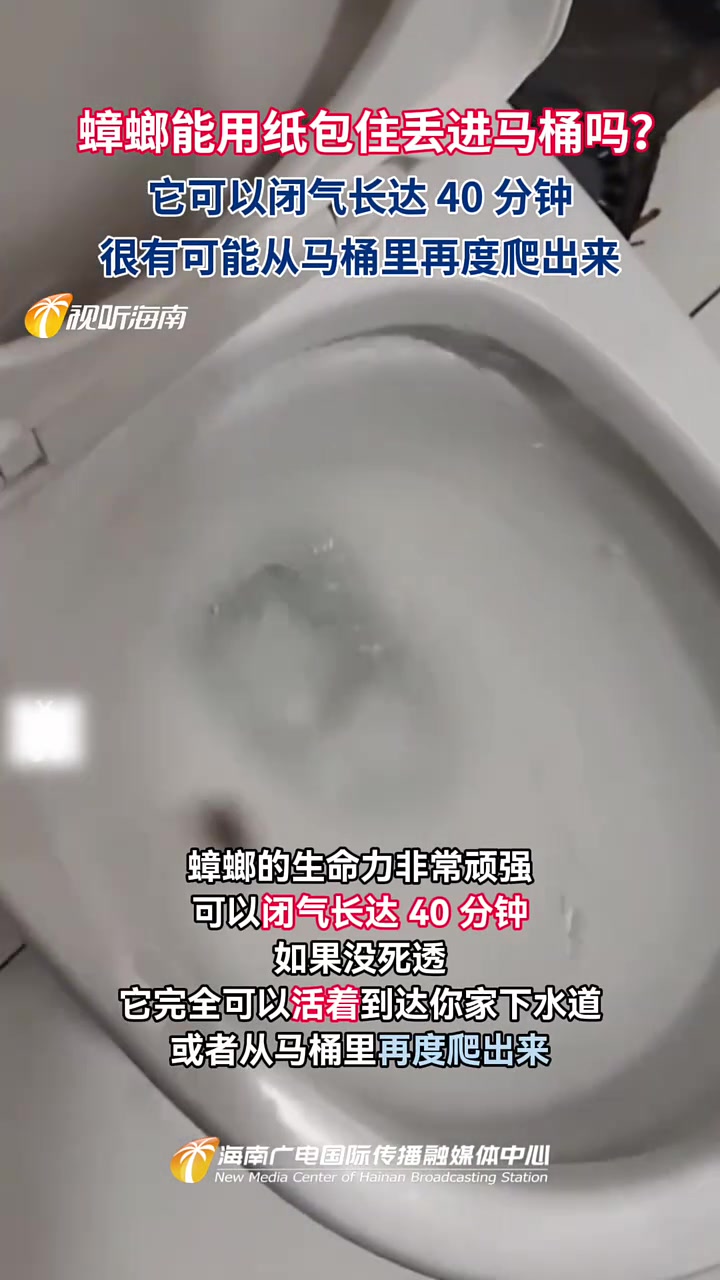 蟑螂能用纸包住丢进马桶吗网友:它可以闭气长达40分可能爬出!