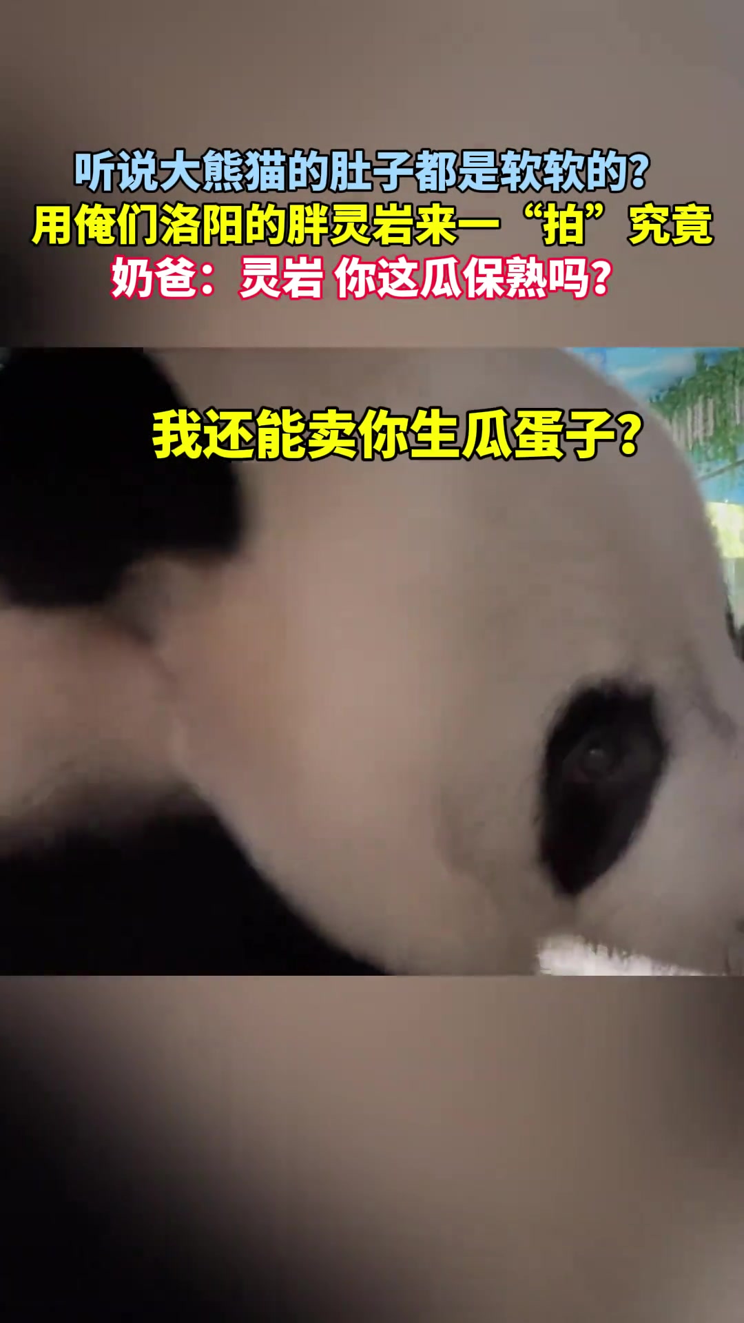 让我拍一次吧,我什么都会做的!