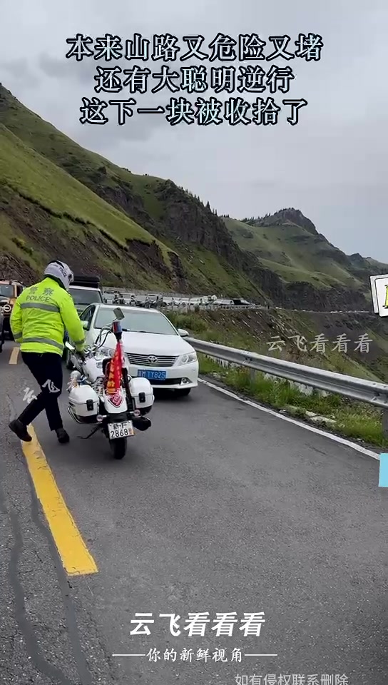 本来山路又危险又堵,还有大聪明逆行,这下一块被收拾了!!!