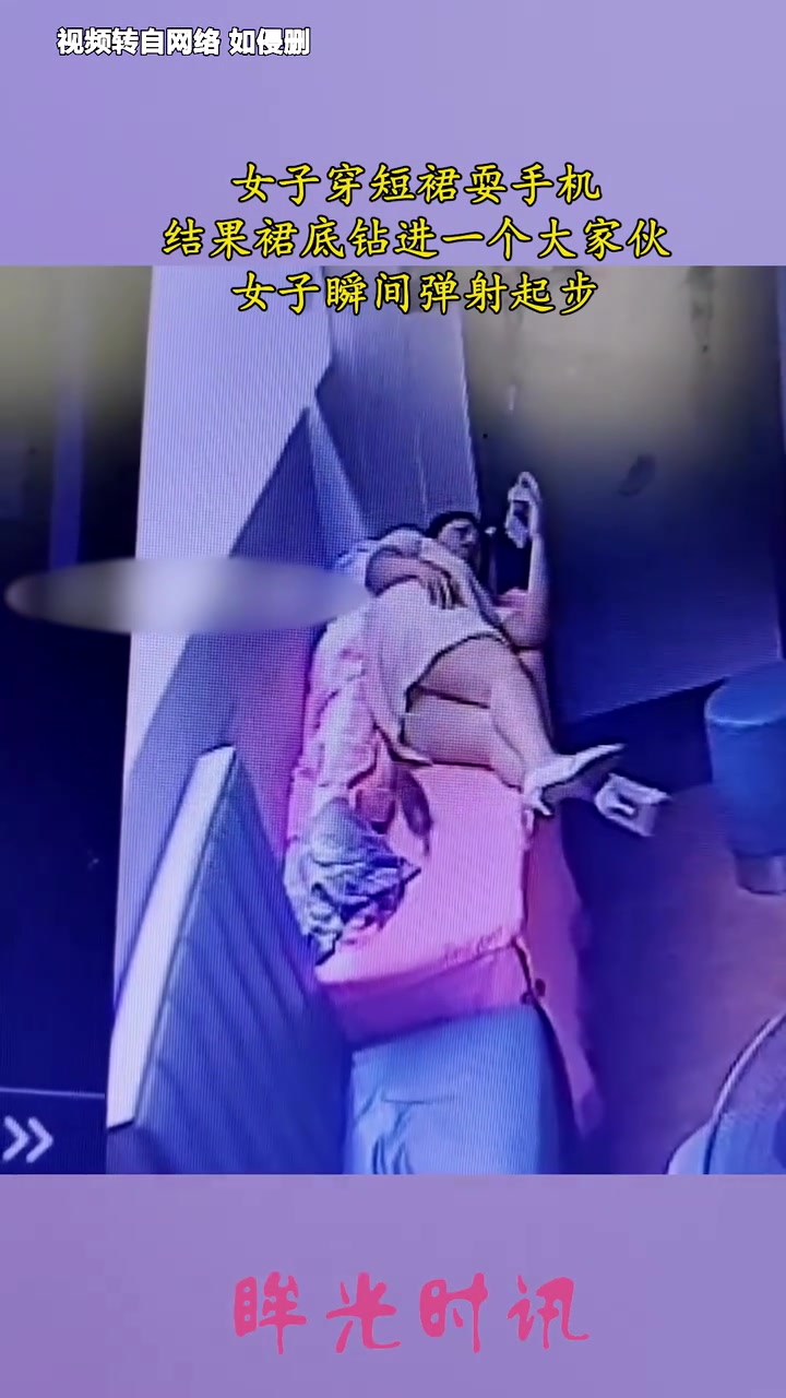 女子穿短裙耍手机,结果裙底钻进一个大家伙!