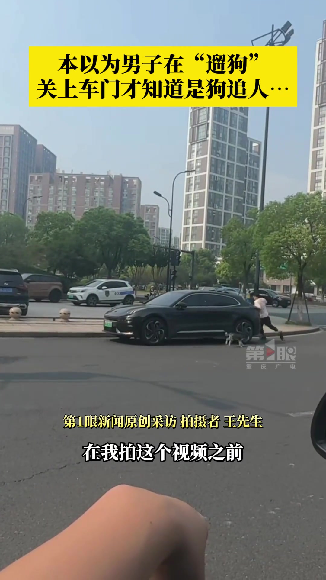 本以为是人遛狗没想到竟是狗撵人