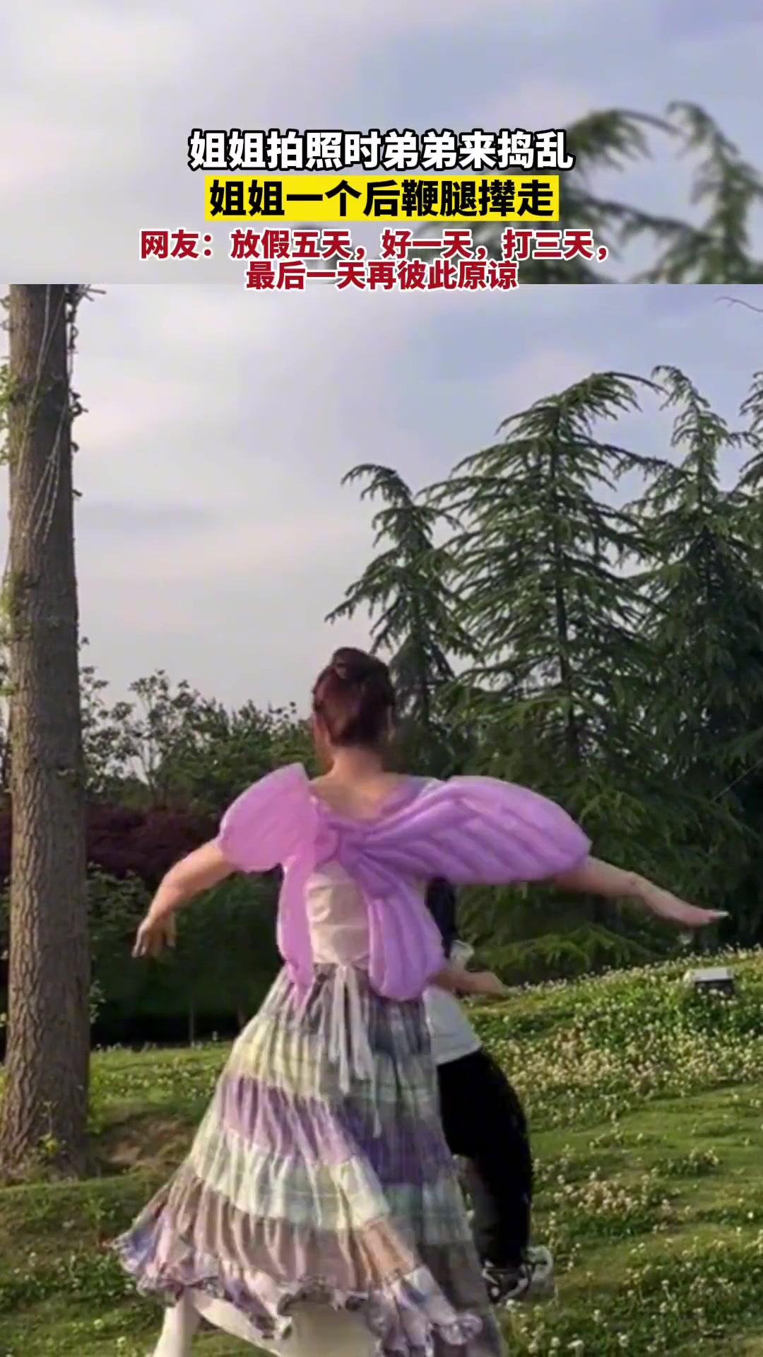 姐姐在美美拍照弟弟调皮捣乱被姐姐赐了一个后鞭腿老实了