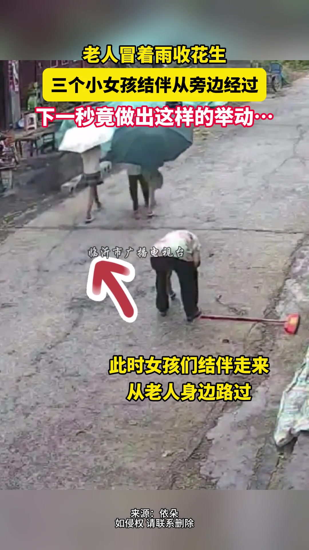 老人冒着雨收花生3个小女孩从旁经过下一秒竟做出这样的举动