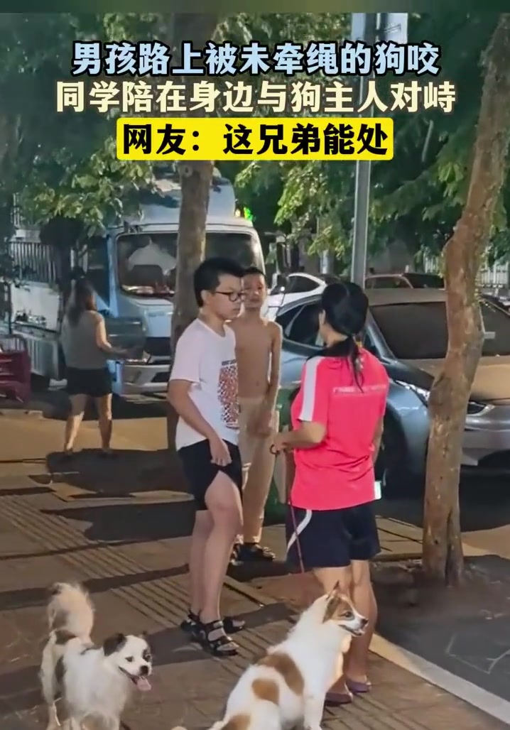 男孩路上被未牵绳的狗咬同学陪在身边与狗主人对峙