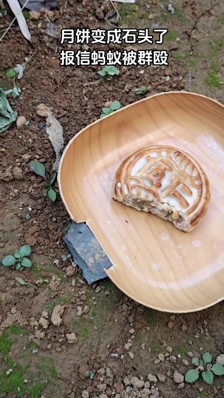 你不杀伯仁,伯仁却因你而死