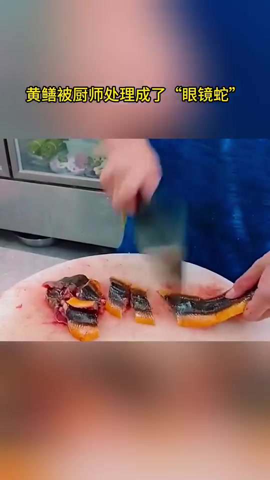 黄鳝被厨师处理成了“眼镜蛇”!!