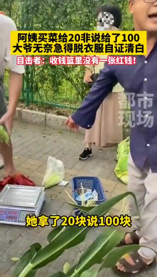 阿姨买菜给了20非说给了100,大爷气的无奈只能脱衣自证!