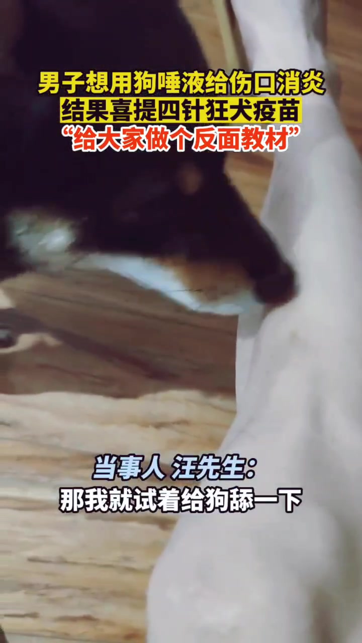 真是个人才,男子把伤口给狗子舔想消炎,后面才发觉不对劲