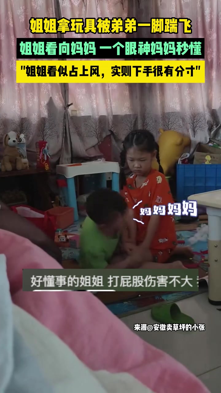 姐姐拿玩具被弟弟踹飞,姐姐得到授权后,直接教育