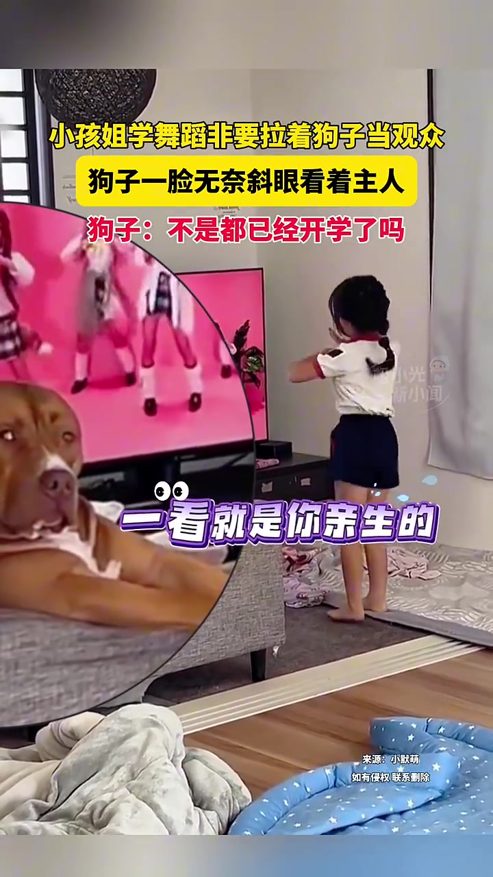 小孩姐学舞蹈非要拉着狗子当观众