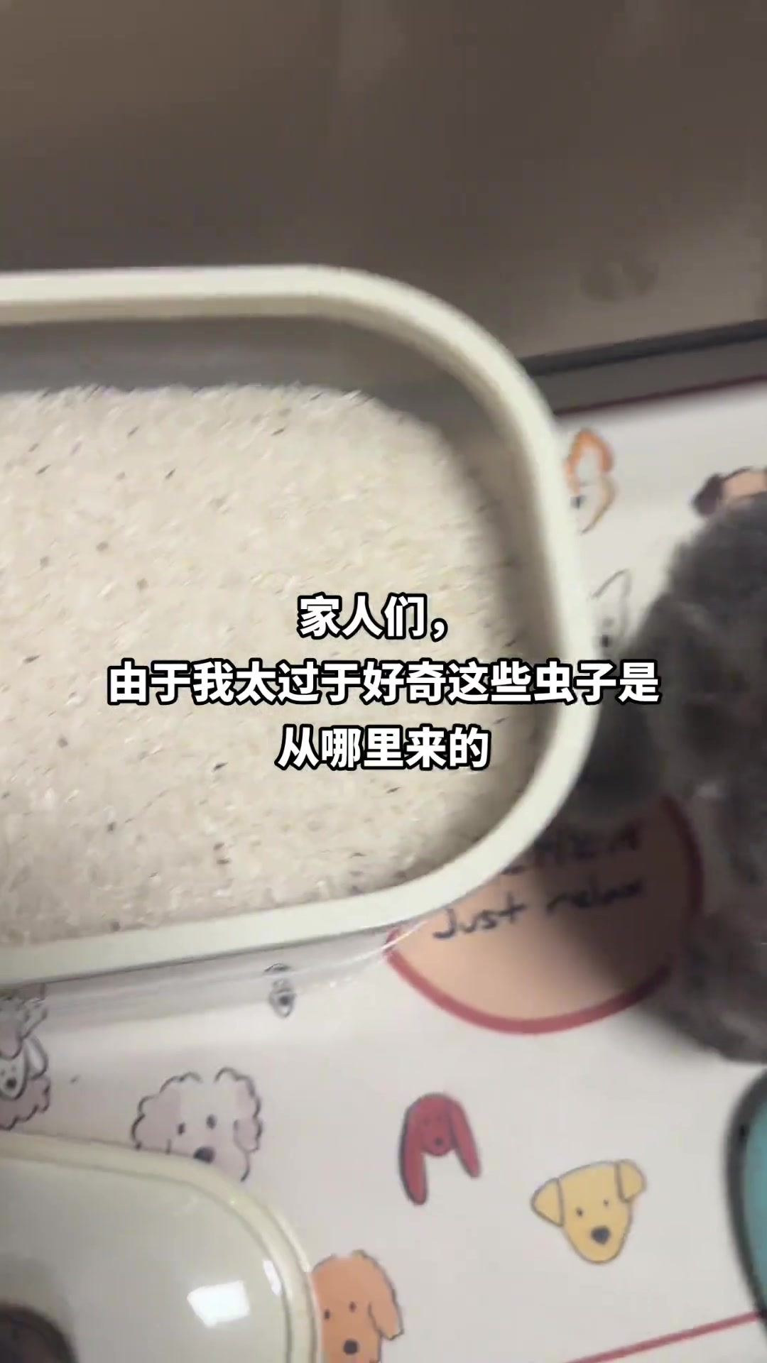 高人指点一下,怎么样才能让大米不生虫