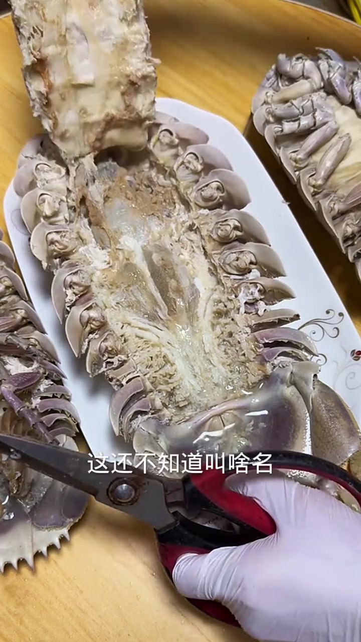 这有点像盗墓笔记里的尸鳖!不是真的能吃吗