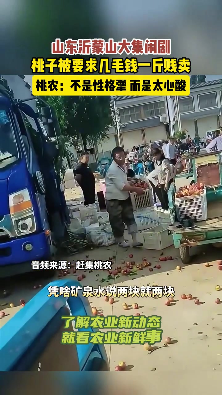 桃子被要求几毛钱贱卖!果农直接倒桃子!