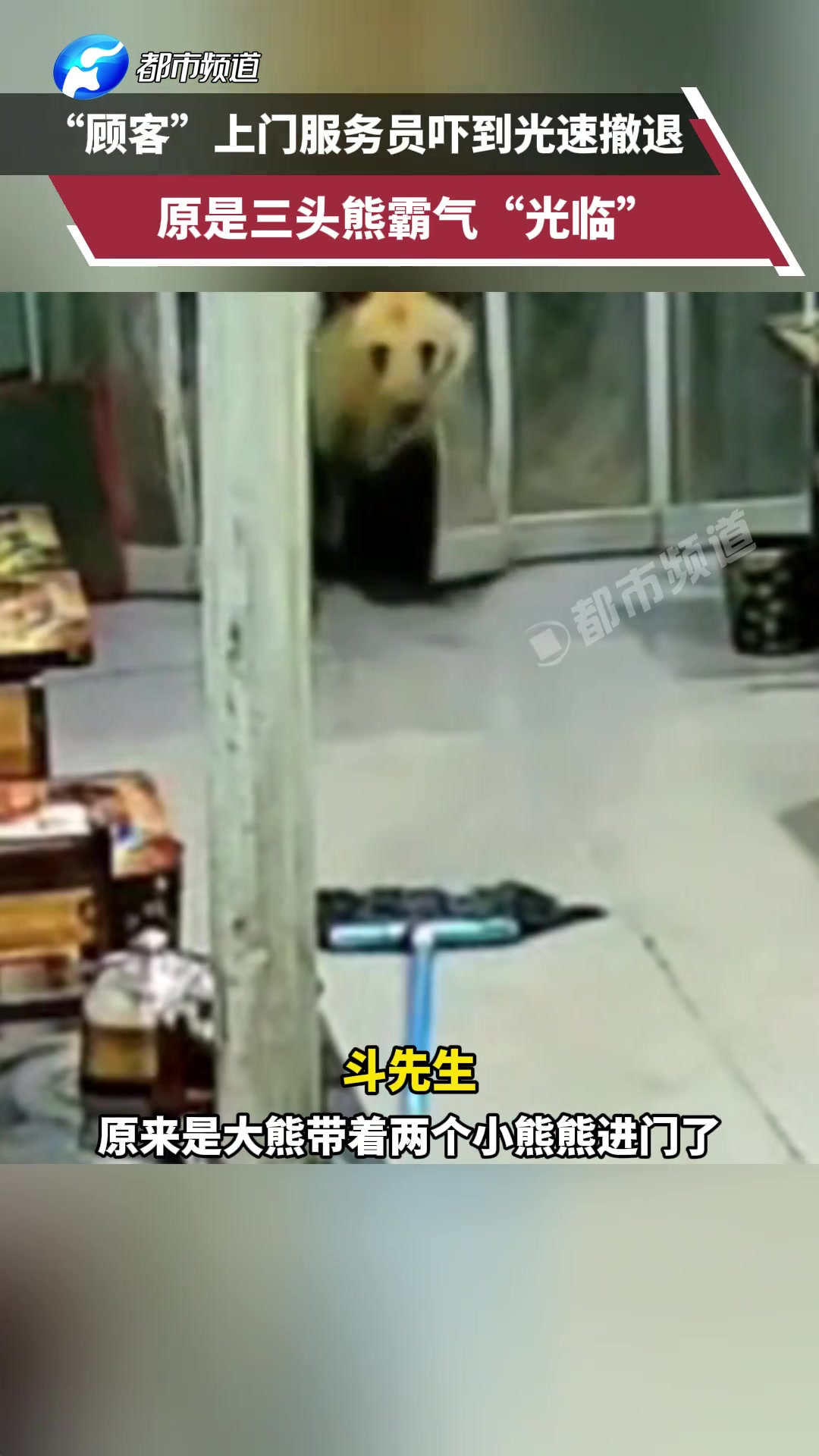 “顾客”上门服务员吓到光速撤退,原是三头熊霸气“光临”