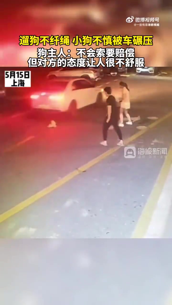 遛狗不牵绳,小狗不慎被车碾压,狗主人:他的态度让人不舒服