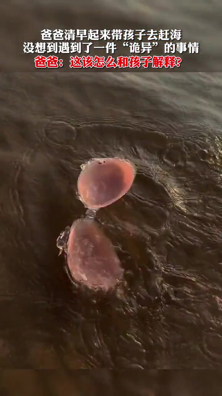 父子去赶海没想到遇到了一件“诡异”的事情!这该怎么解释