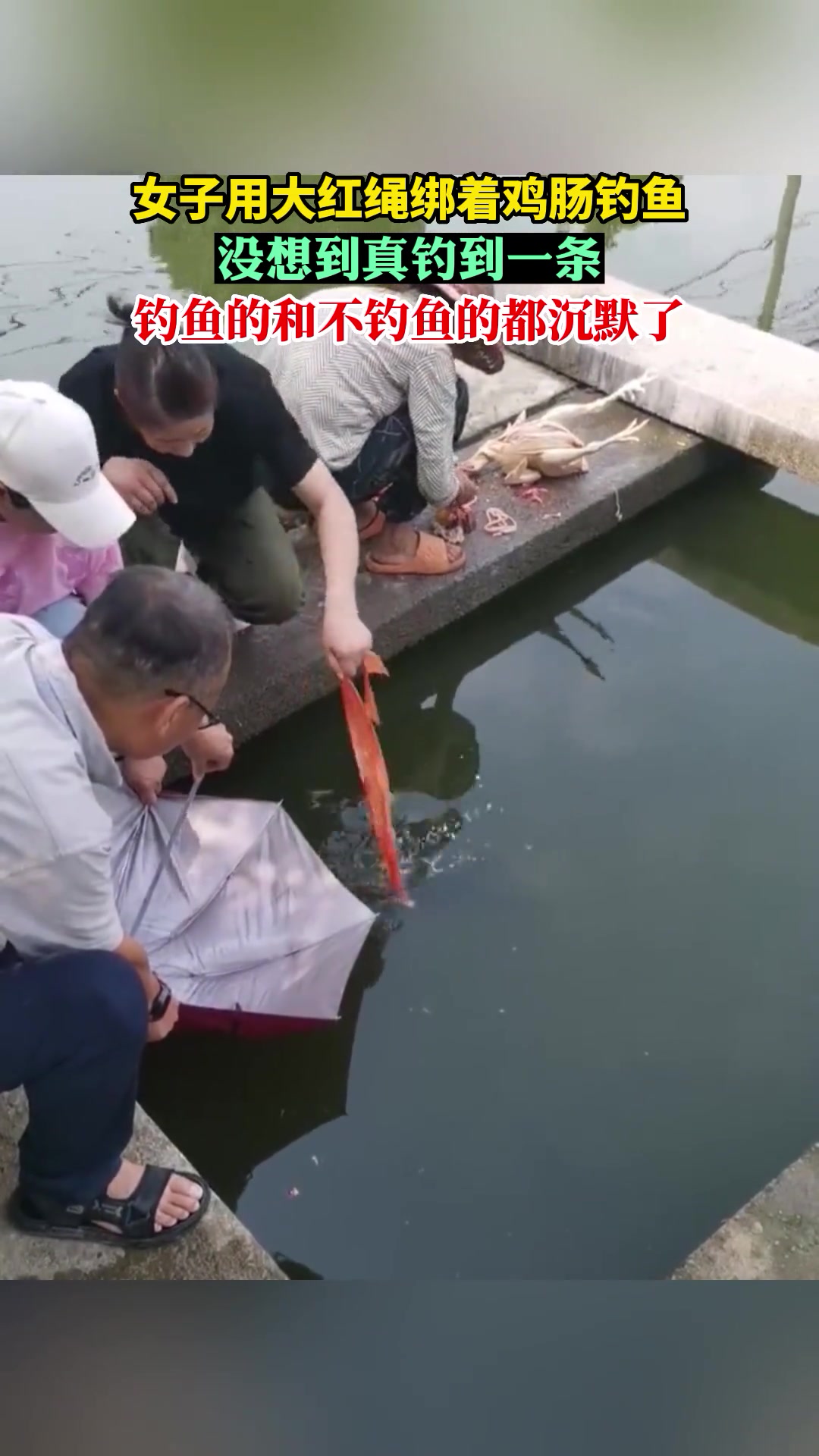 钓鱼和不钓鱼的看着都沉默了