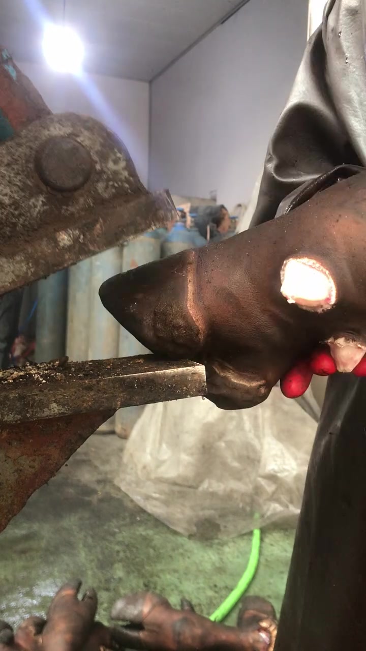 给牛蹄子去指甲,看得我都馋了