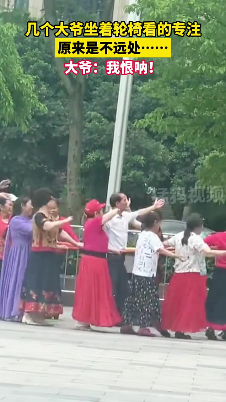 几个大爷坐着轮椅看的专注,原来是不远处